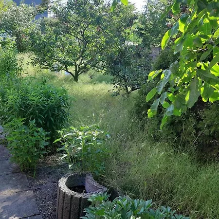 Kamienica Nowodworska 30