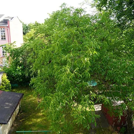 Apartamento Kamienica Nowodworska 30 *