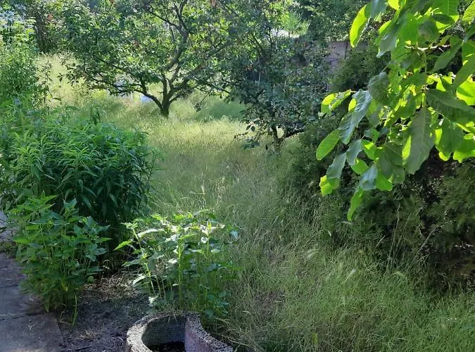 Kamienica Nowodworska 30